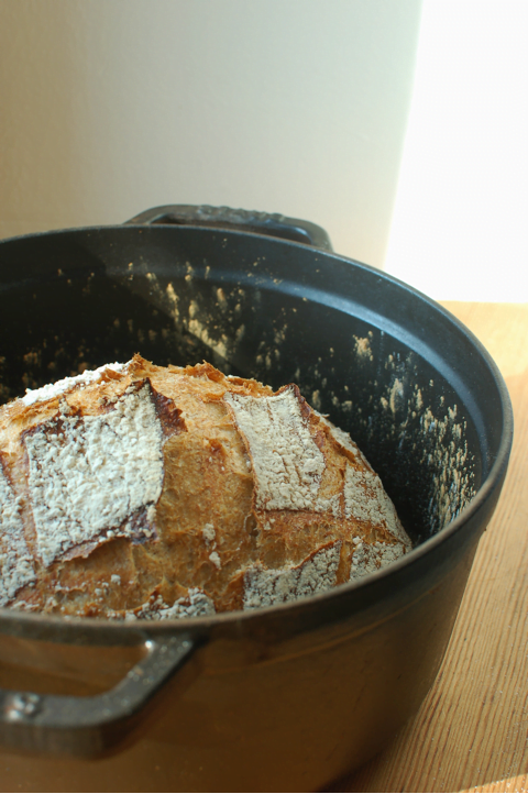 Why I'm in love with cold oven bread baking - The Irishman's Wife