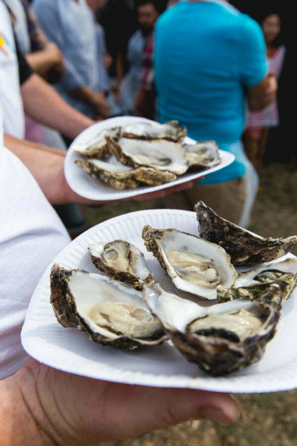 Whitstable Oyster Festival - Food&_ | Food, Stories, Recipes ...